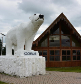 Timmins Care A large polar bear statue in front of a building with the word "Cochrane District Social Services Administration Board" displayed on its base. Cochrane District Social Services Administration Board