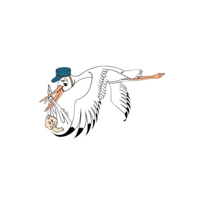 Timmins Care Illustration of a stork wearing a cap, flying while carrying a baby bundled in a cloth in its beak. Cochrane District Social Services Administration Board